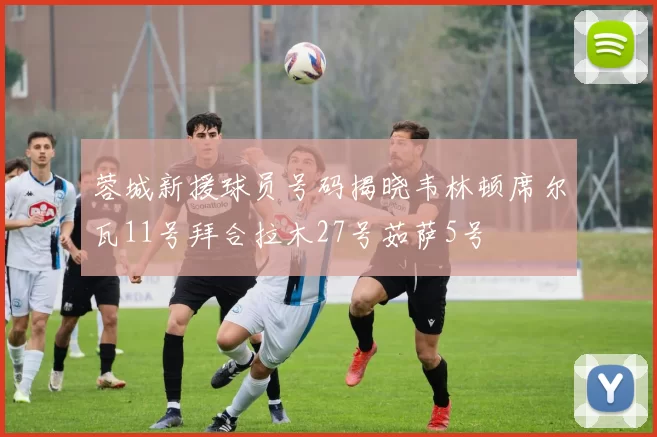 蓉城新援球员号码揭晓韦林顿席尔瓦11号拜合拉木27号茹萨5号