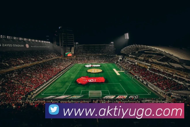 AK体育APP 高清赛事图